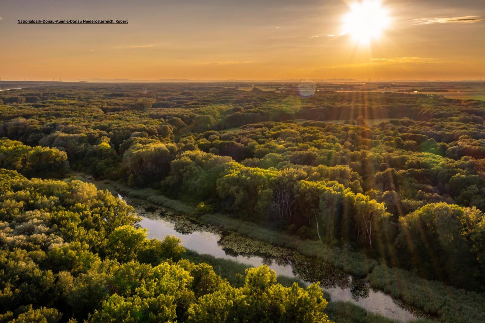 Apartmán Am Arkadenhof Deutsch Haslau Exteriér fotografie