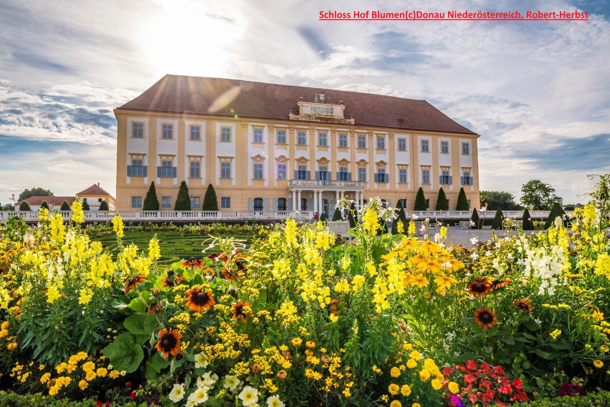 Apartmán Am Arkadenhof Deutsch Haslau Exteriér fotografie